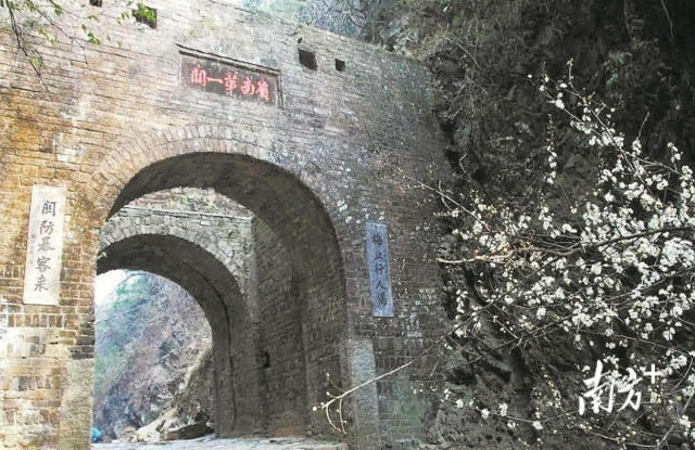 受访者供图