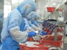 关税冲击下的广东水产业升级：深化电商合作，拓展国内市场