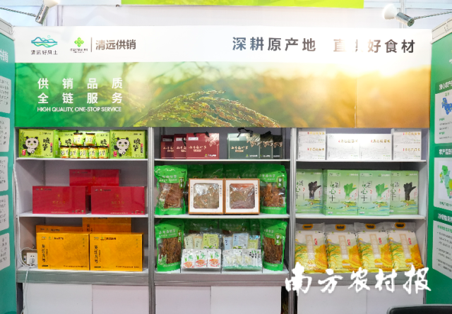 现场展示、试吃的清远特色产品。