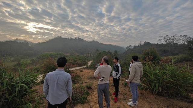 2016年,黄柄辉和团队成员在金花坑查看种植基地。 2016年,黄柄辉和团队成员在金花坑查看种植基地。