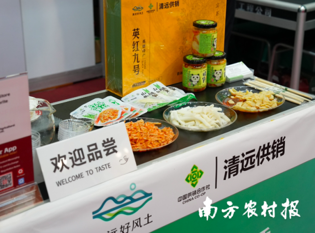 现场展示、试吃的清远特色产品。