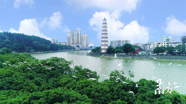 宝光塔。 宝光塔。