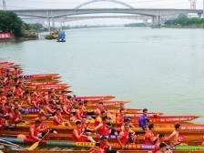 图集｜碧波竞渡，中山小榄龙舟赛激荡水乡记忆