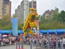 肇庆广宁：武术魅力点燃文旅活力