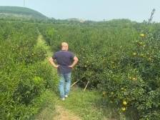 广东三宝与他的时光“守”艺人｜五一特别报道