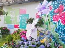 “五一”来邂逅“莫奈花园”！中山南朗石门繁花艺术季启幕