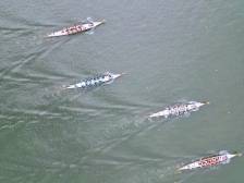 特写｜“岐江河变好了，大力划桨也不怕！”