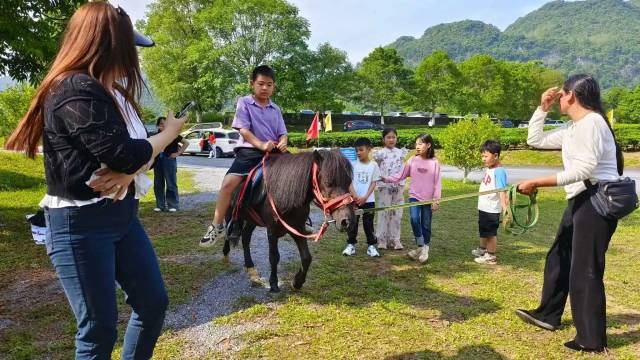 汉服小姐姐策马茶园间，马背上的少年郎英姿飒爽，萌娃勇敢骑上矮脚马，出片率100%！