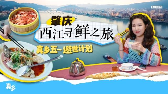 这个五一，来肇庆西江开启一场寻鲜之旅吧  |  真乡五一避世之旅