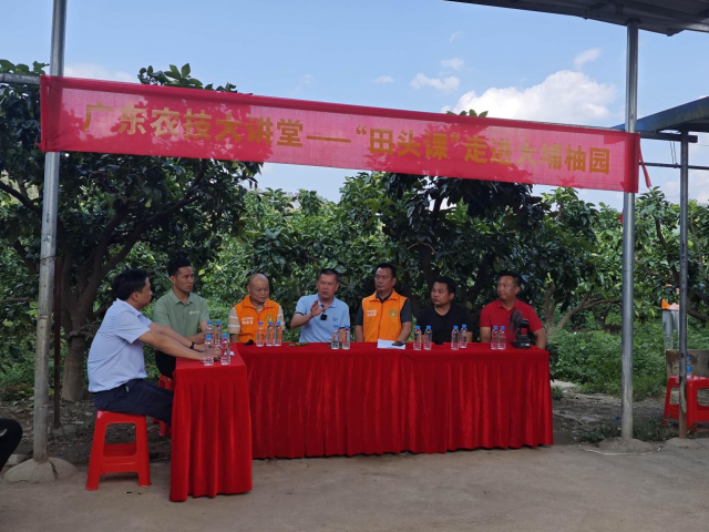 广东农技大讲堂——“蜜柚种植管理和病虫害防控关键点”田头课现场
