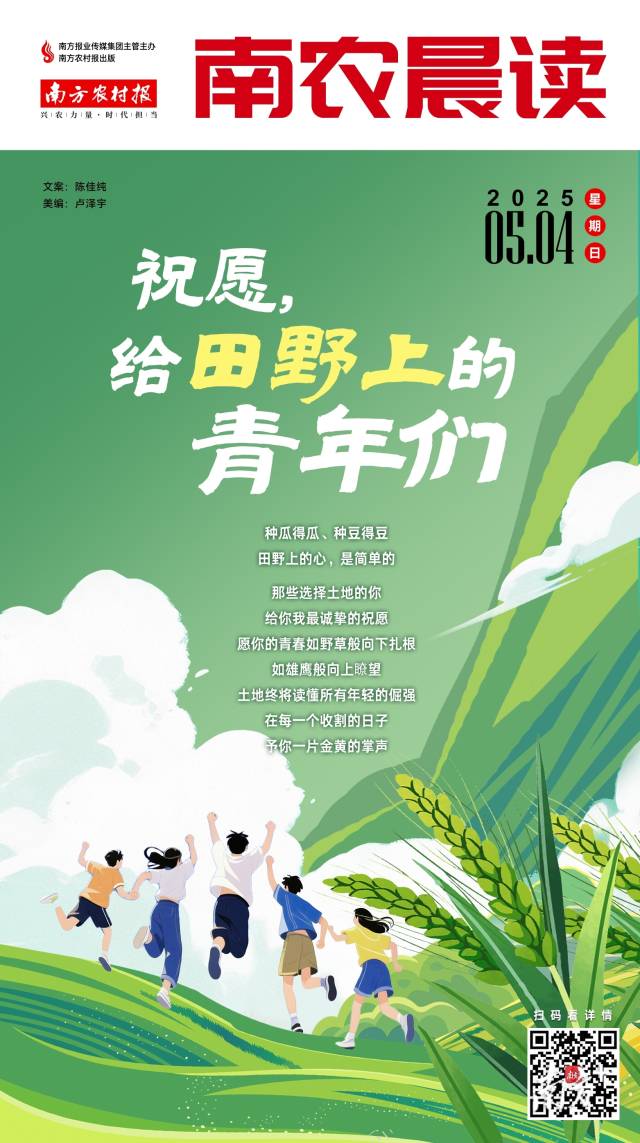 每日半价