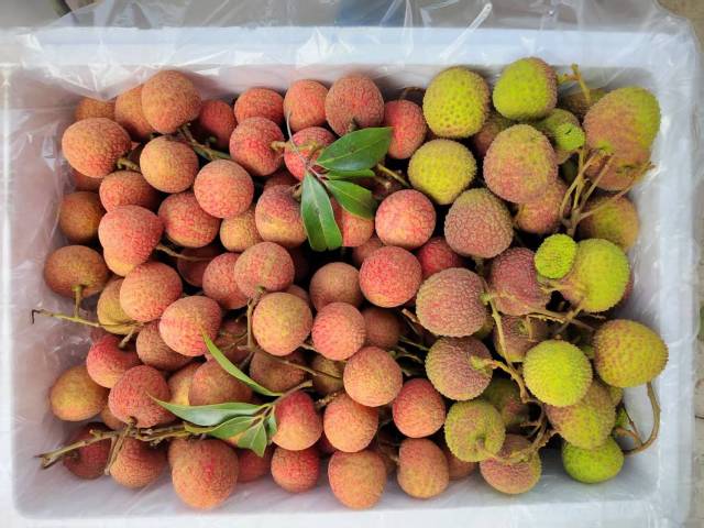 根据顾客需求“定制化”采摘的荔枝。