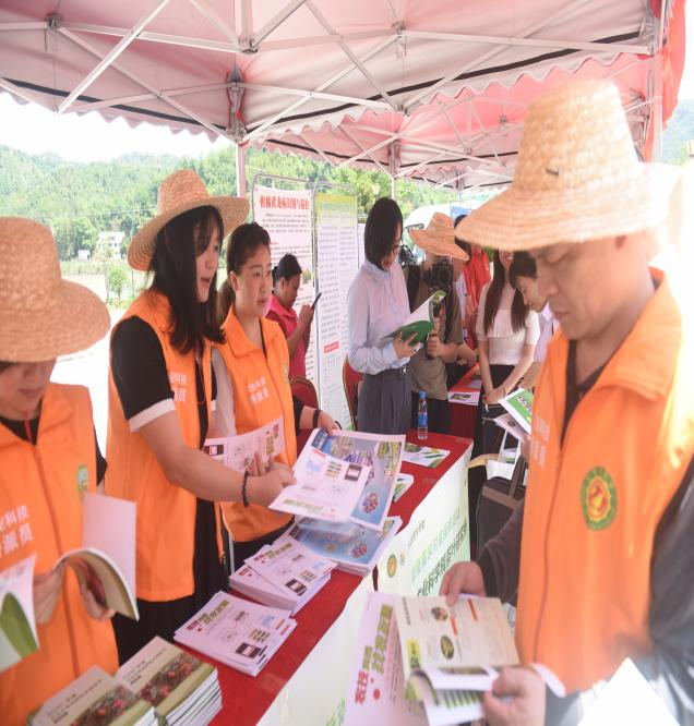 巾帼农业科技特派员农技对接服务活动