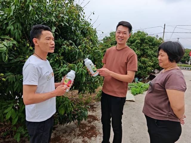 冼晓和村民们在荔枝树边讨论用肥用药。