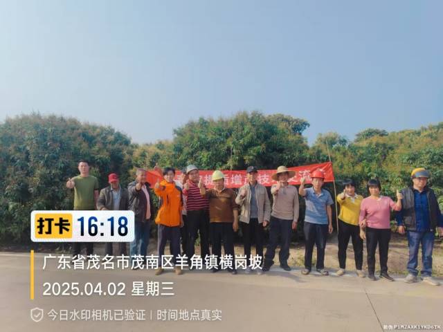 冼晓和果农们一起开展提质增产技术交流会。