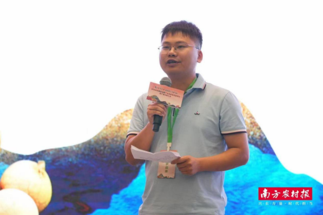 新农人何辉亮。