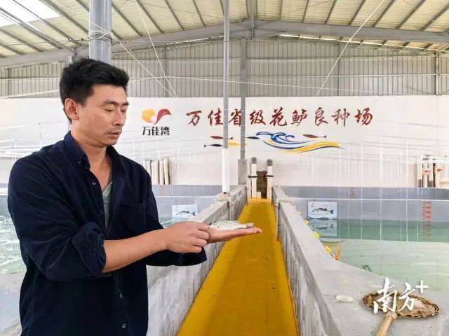 万佳省级花鲈良种场。