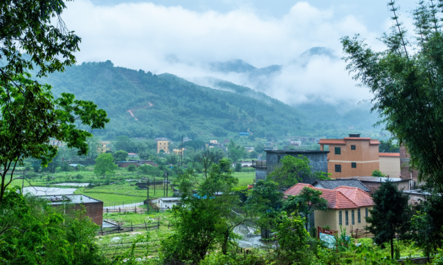 从红锥古树公园步道上往下看去便是宁静祥和的古城村 从红锥古树公园步道上往下看去便是宁静祥和的古城村