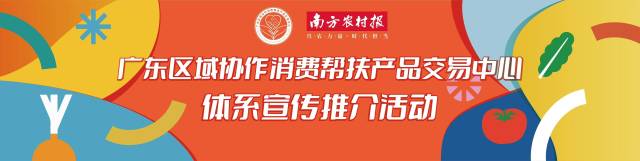 足不出户买遍全国好货！广东消费帮扶交易中心小程序上线