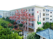 粤华高中开放日，等您来！一起揭秘名校生黑马生培养秘诀