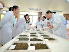 三大关键词看南方号·梅州矩阵