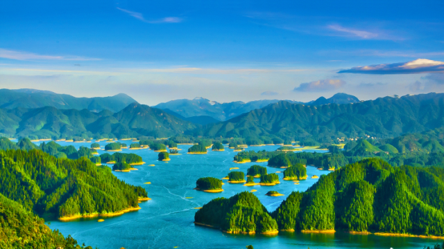 一条鱼的大湾区“游”记｜中国水周