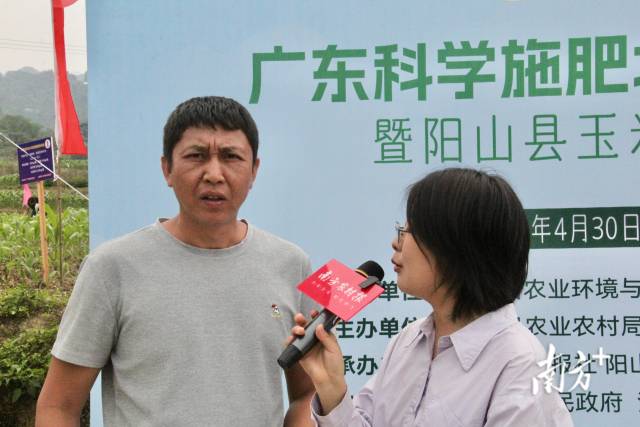 阳山县小江镇潭屋围曾屋村玉米种植专业户欧青云