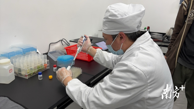 检测中心检测员陈飞常正在进行检测