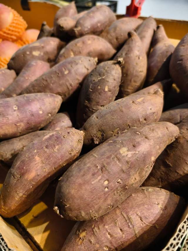 湛江红薯 湛江红薯