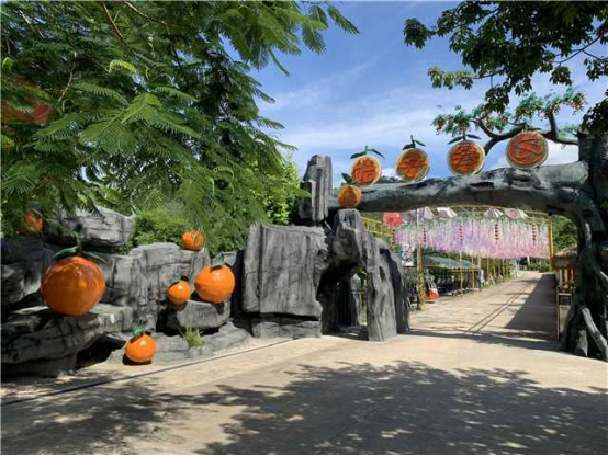 桔子小镇景区。