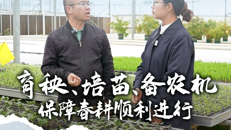 护航春耕·稳粮保供——聚焦2025年全省春耕佛山主会场③育秧、培苗、备农机保障春耕顺利进行