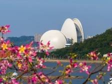 “百千万”珠海战法丨三年如何初见成效？珠海部署“百千万工程”六大攻坚行动