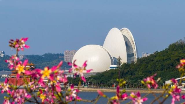 “百千万”珠海战法丨三年如何初见成效？珠海部署“百千万工程”六大攻坚行动