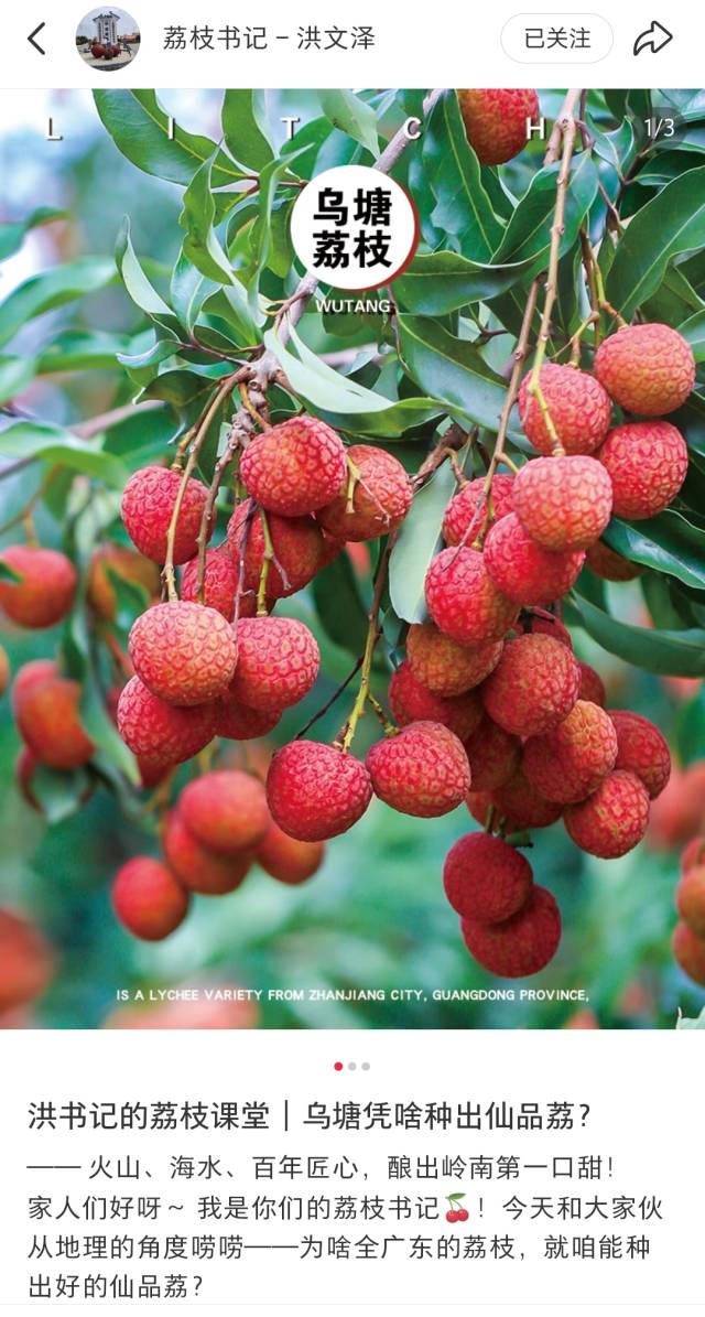 洪文泽书记在小红书推广仙品荔 洪文泽书记在小红书推广仙品荔