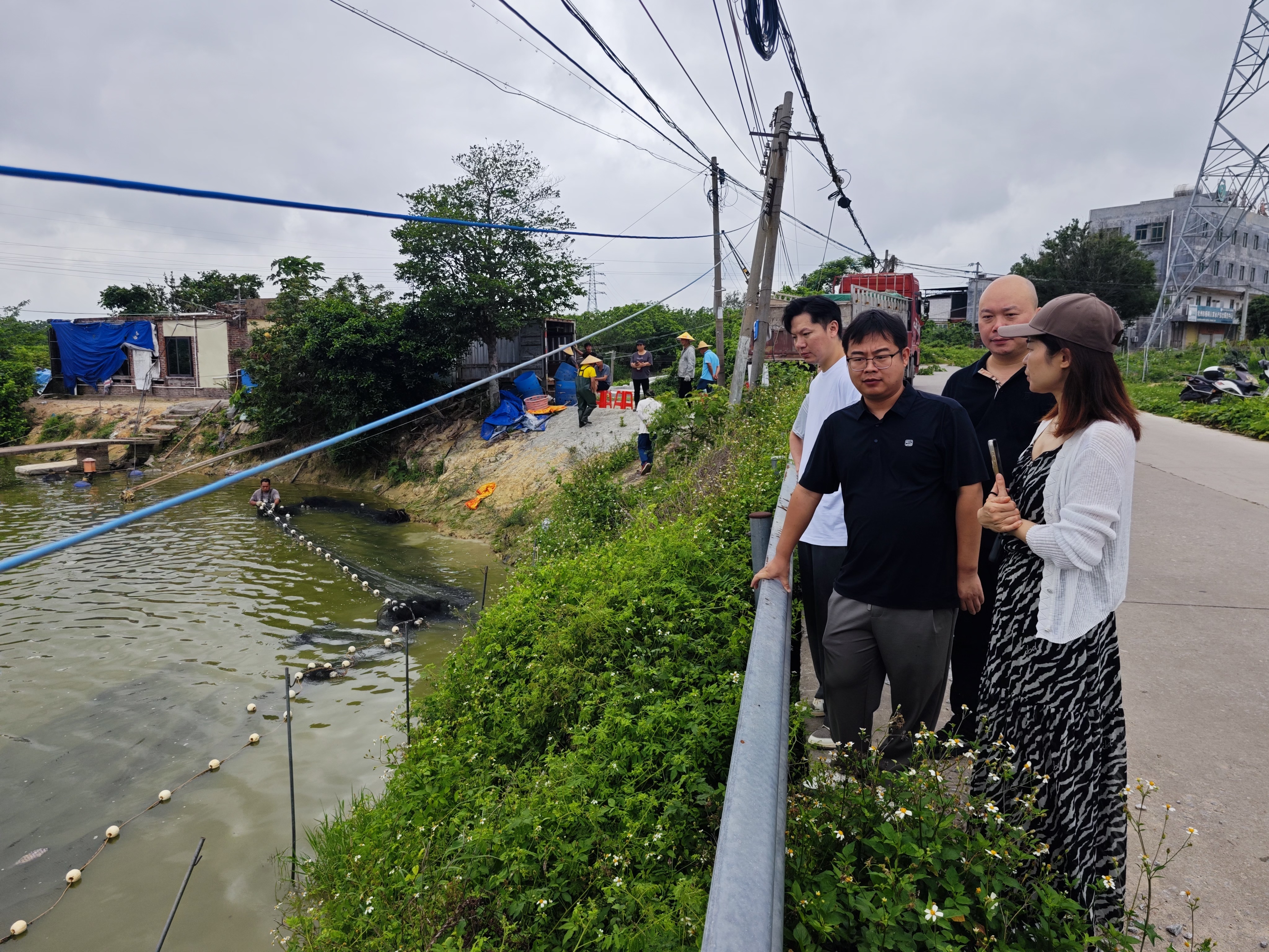 广州美迅信息技术有限公司与真乡平台一行在茂名化州杨梅镇考察鱼塘。南農