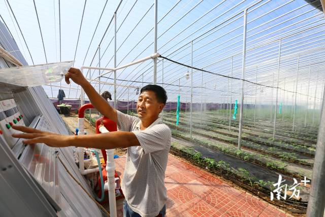 寿光市菜农崔江元操作水肥一体化设备。