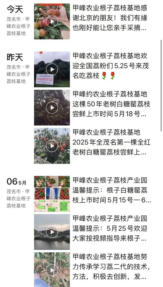 钟伟略的微信朋友圈全是自家荔枝生长动态。