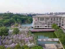 新突破！广工新增2个全球前千分之一学科