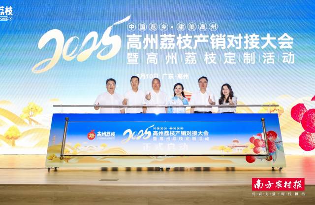 2025高州荔枝产销对接大会暨高州荔枝定制活动在高州根子镇中国荔枝产业大会会址启动。