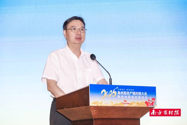 高州市委副书记、市长卢巧智致辞。