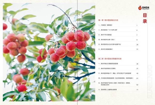 CHANEL助力法兰西笑剧场翻修 详细数额未吐露