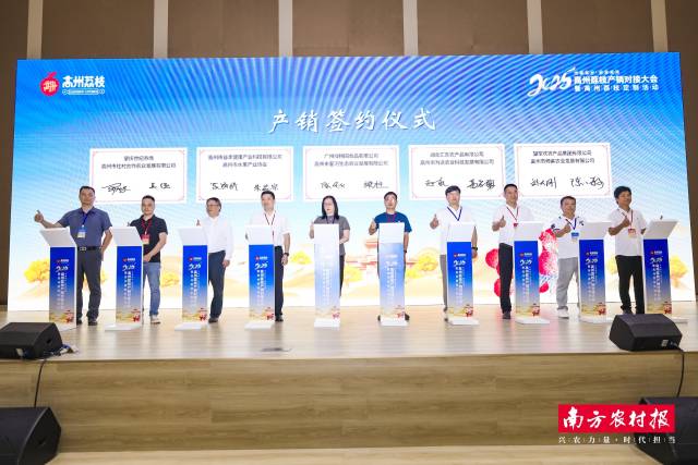 活动举行的茂名高州荔枝产销签约。