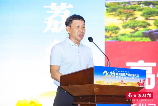 高州市农业农村局局长黄盛勋介绍2025年荔枝生产情况。
