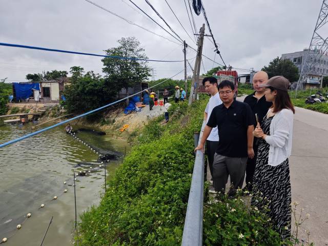 廣州美迅信息技術(shù)有限公司在茂名化州楊梅鎮(zhèn)考察魚塘。