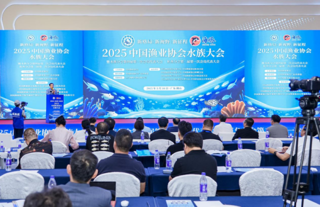 会议现场 会议现场