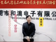 和澳电子致敬深圳特区45周年