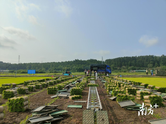 育秧基地。