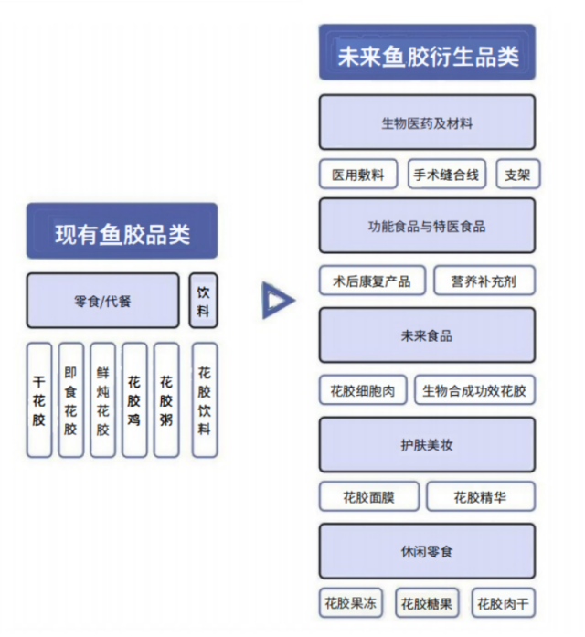 未來魚膠品類預測
