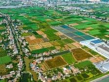 新沙村：多措并举稳步推进“百千万工程”