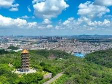 千年岗城焕新颜，南沙大岗镇“百千万工程”主题展播启动